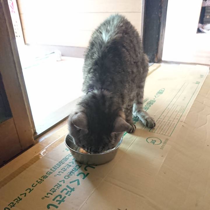 Dae94ff1 2aea 4333 8ade 2e2427903b23 1597459501613