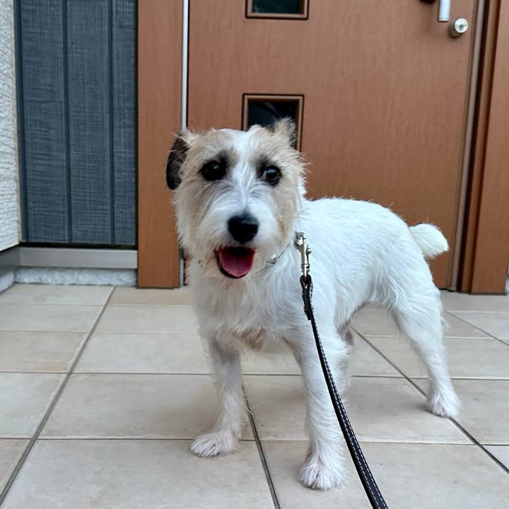 Dae96508 7655 4800 ab0d 3edaab5e7e02 1758204159617