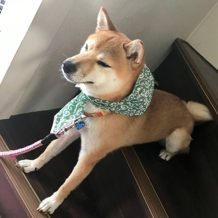 Dae974c2 876c 4916 a424 66a67537dbf9 1534641731707