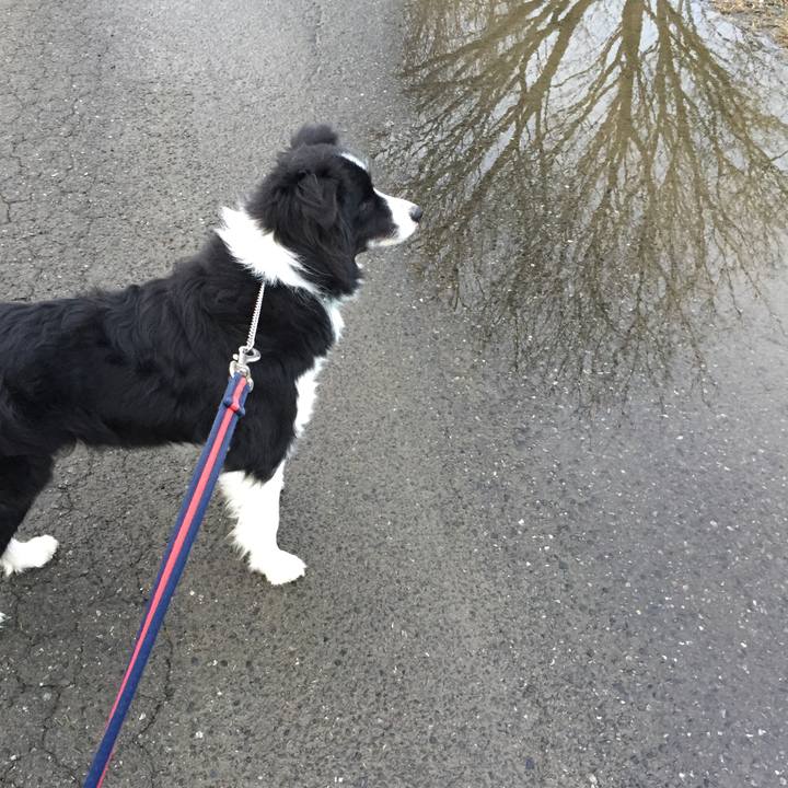 Dae9c0e2 153f 4221 b081 98d425f3cc18 1579820981792