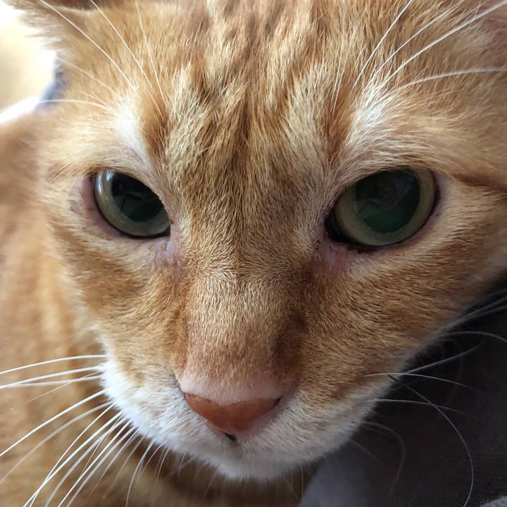 Dae9d0a5 335c 4d2a b800 1e7e887a1e39 1656726744659