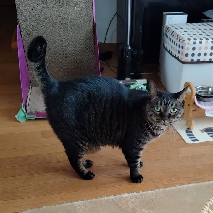 Dae9d1d7 a975 4dd6 a897 fafa27af1591 1771891555753