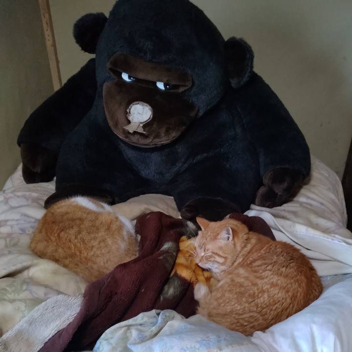 Dae9db58 e02c 47c8 833c 5cc7f71a5fb1 1766446379460