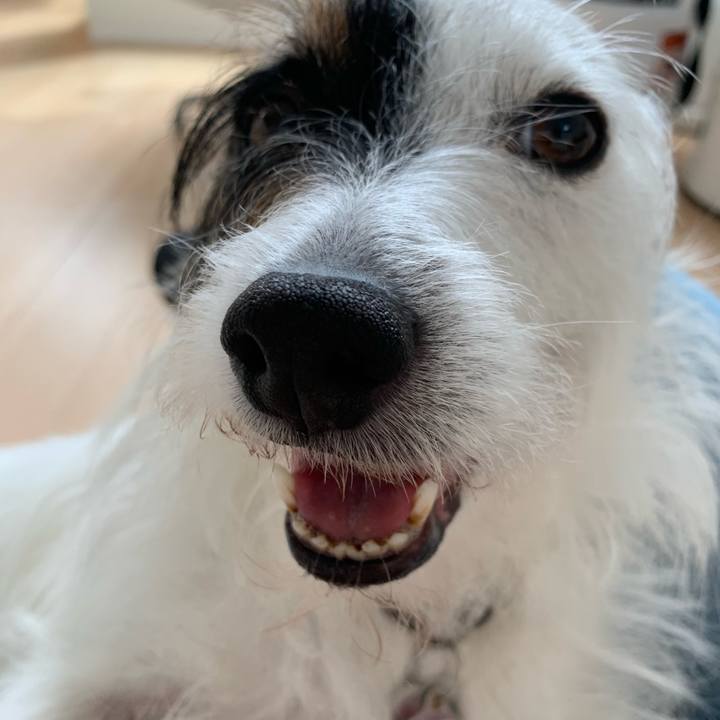 Daea23aa bdd6 4457 8555 8e0d565704f8 1654057794736