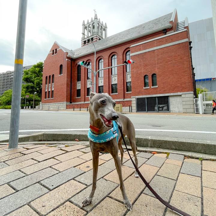 Daea6cc0 7b4e 46ae af83 91b4eb276bce 1757756731123