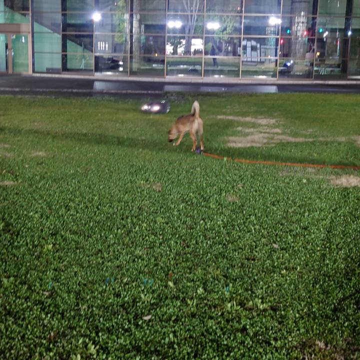 Daeab05f a12e 4266 9ed2 f5e30f221807 1711552332850