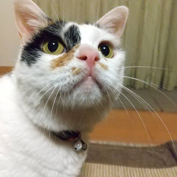 Daeadae6 513f 479b 9443 faa5ae6861f5 1633433944486