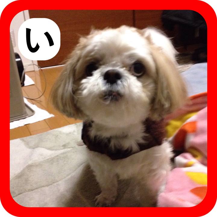 Daeb0c36 b7c0 42a5 9640 6d3f10a44f9f 1514959808085