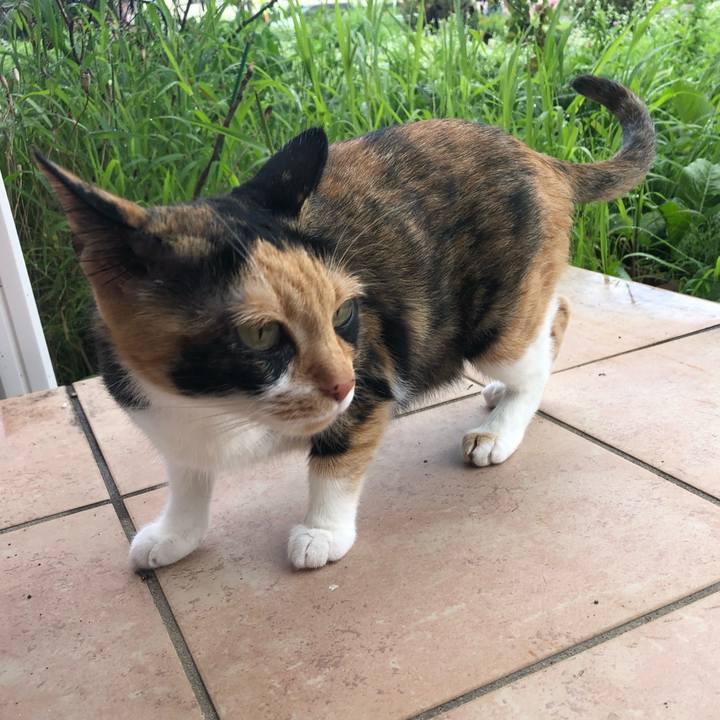 Daeb1ce1 07cb 4440 9152 993a7ad4a62e 1596151836614