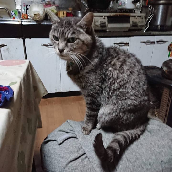 Daeb3044 121e 47ad a4d9 42a83e04c0a5 1607631563999