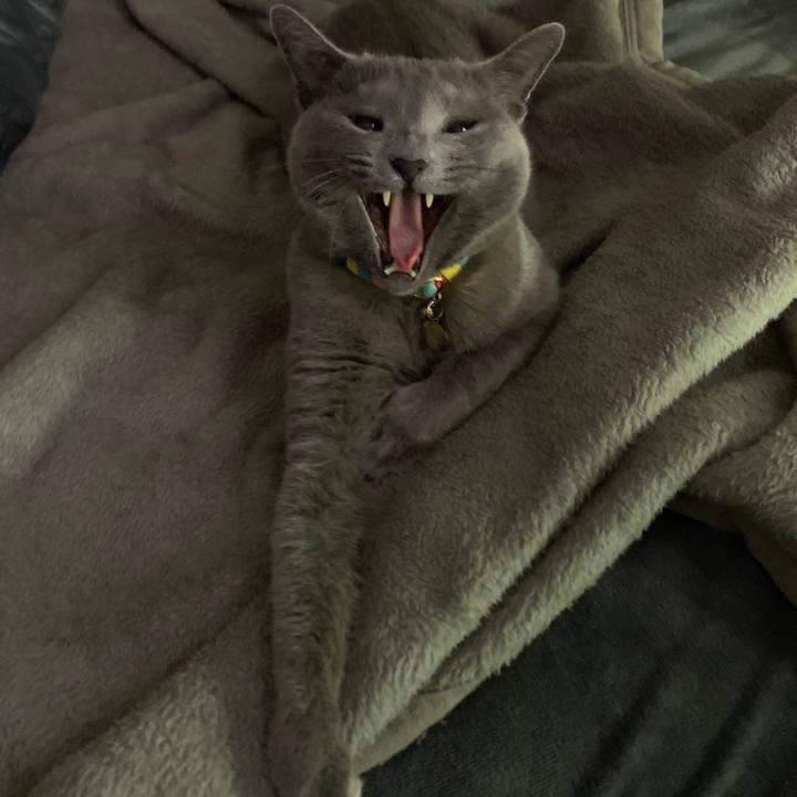 Daeba418 df3d 45a3 b9ab d00b0bd17d0e 1674722279927