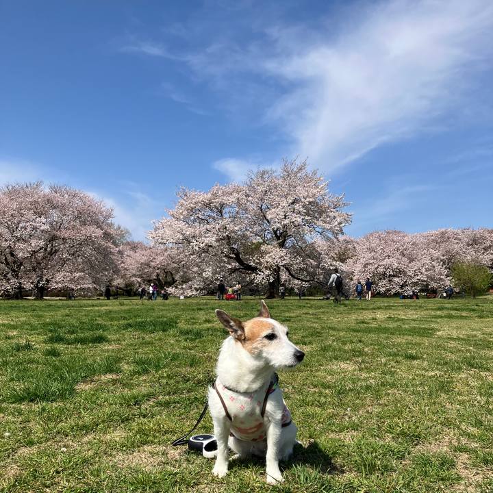 Daebad83 2f4d 4041 8f0e b769a4d65886 1713052494922