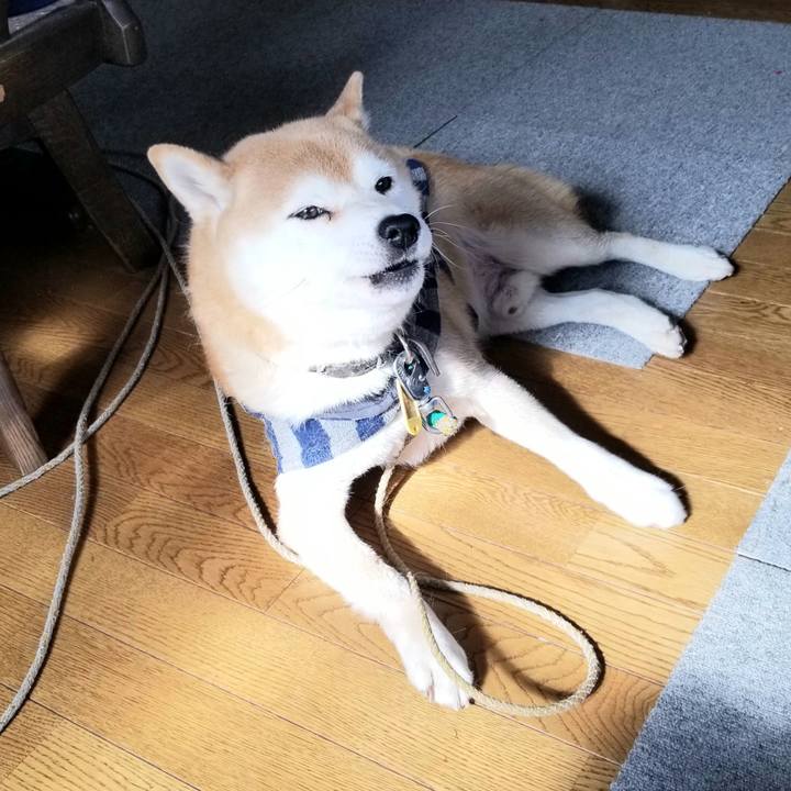 Daebd177 6128 4409 b8e2 53f39e9dd77c 1611977489297