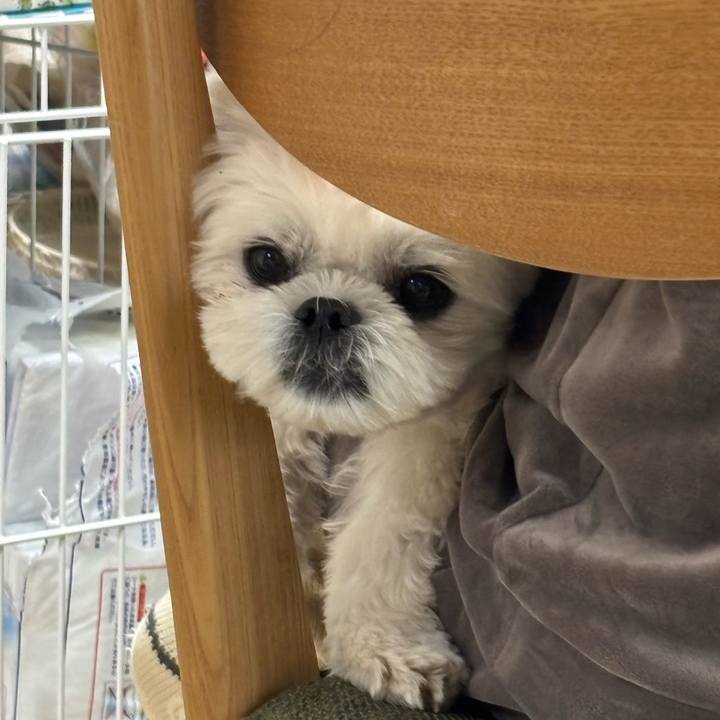 Daec13f4 e914 464f a1e6 ca090049e440 1768736186164