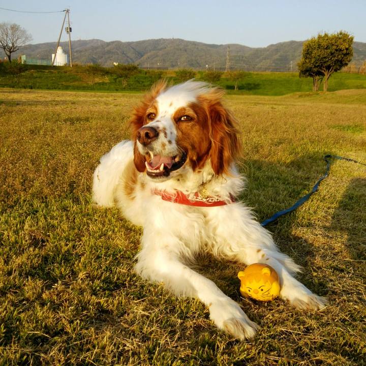 Daec1a46 a73e 4430 b457 a5b9228452a8 1555933852545