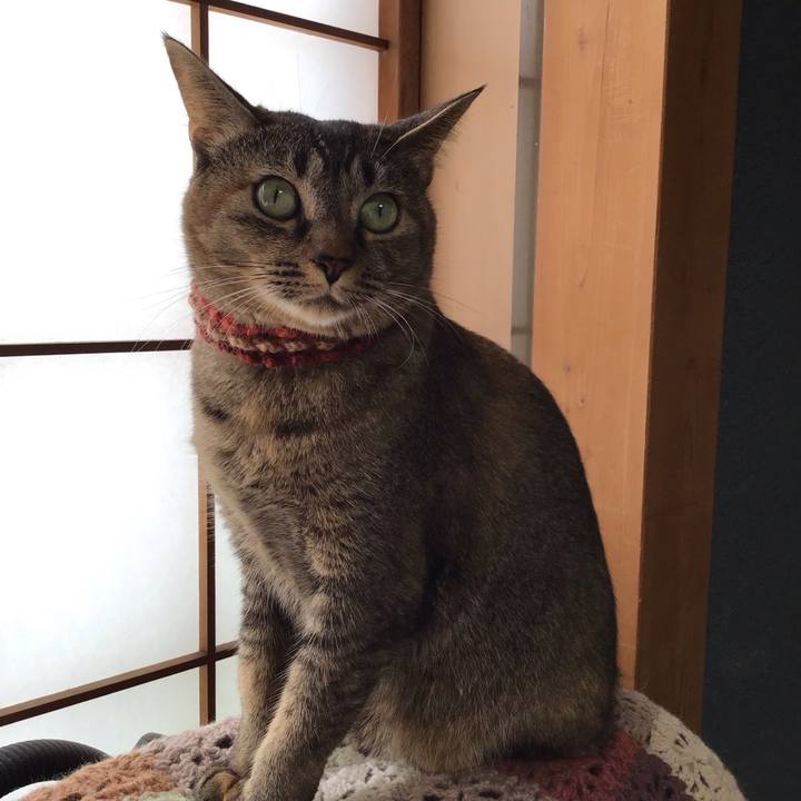 Daec2392 c014 4d31 bab2 a2068a0ddf24 1630891338688