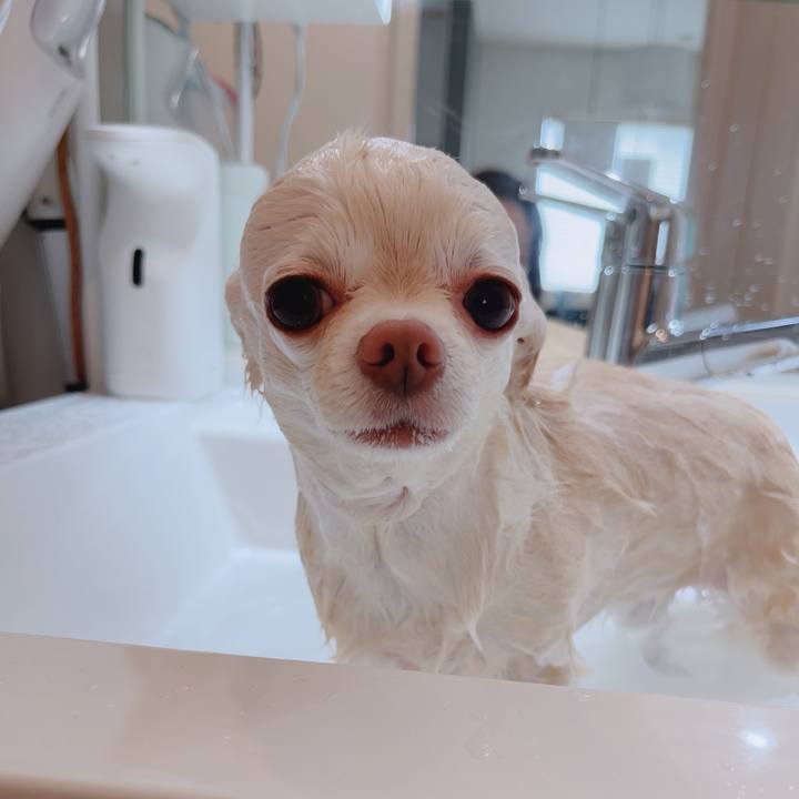 Daeca48c 9de4 48be abab d0e6e3a16370 1761997462818