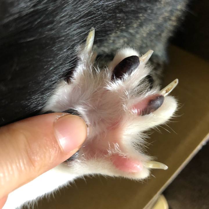 Daecc01e c500 4e66 8c9e 438b114584f5 1630767159690