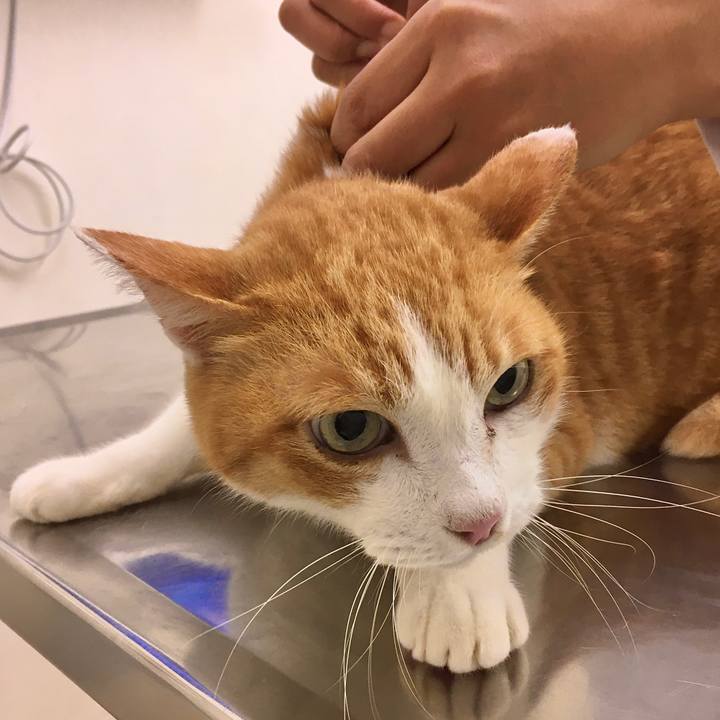 Daed7d99 80c2 425e 9b55 d5775ce933dd 1571724550168