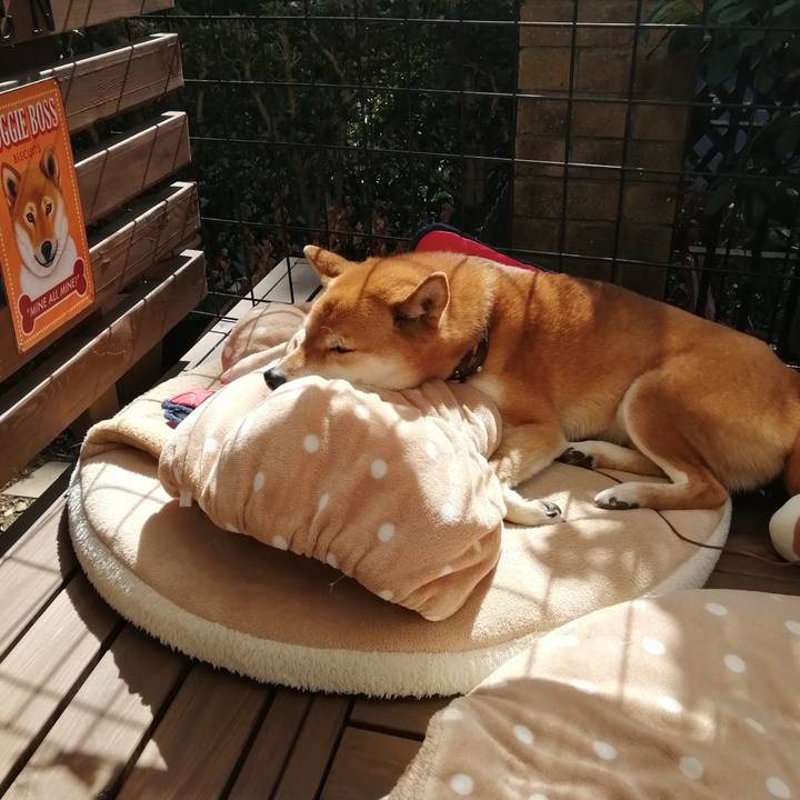 Daed7e99 4bd3 4b90 8c24 49184b341d1b 1614092291968