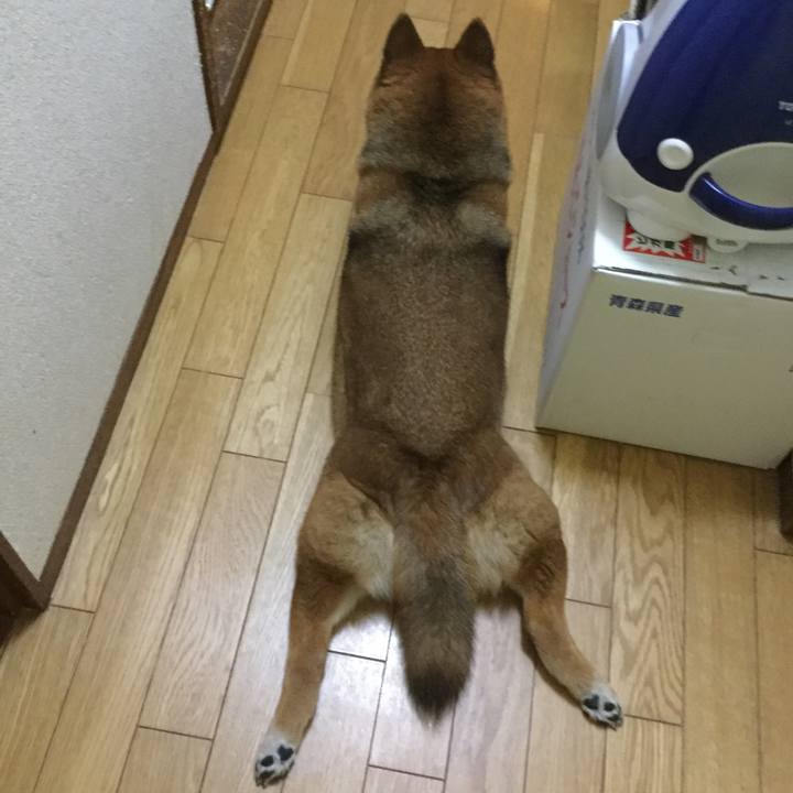 Daed9267 3f49 4901 825d 24f4b18fb047 1555678900829