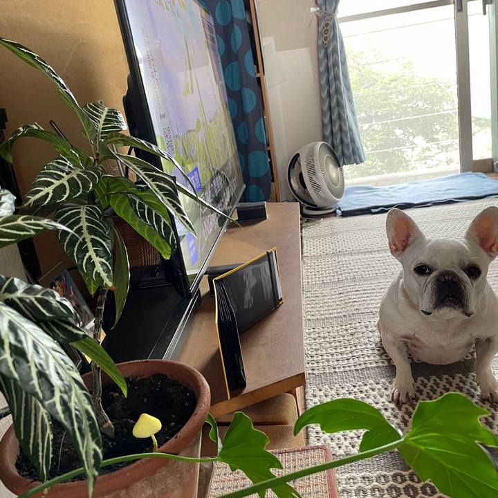 Daeda3b3 306b 4e6a 9635 4127f9e5e632 1749767242541