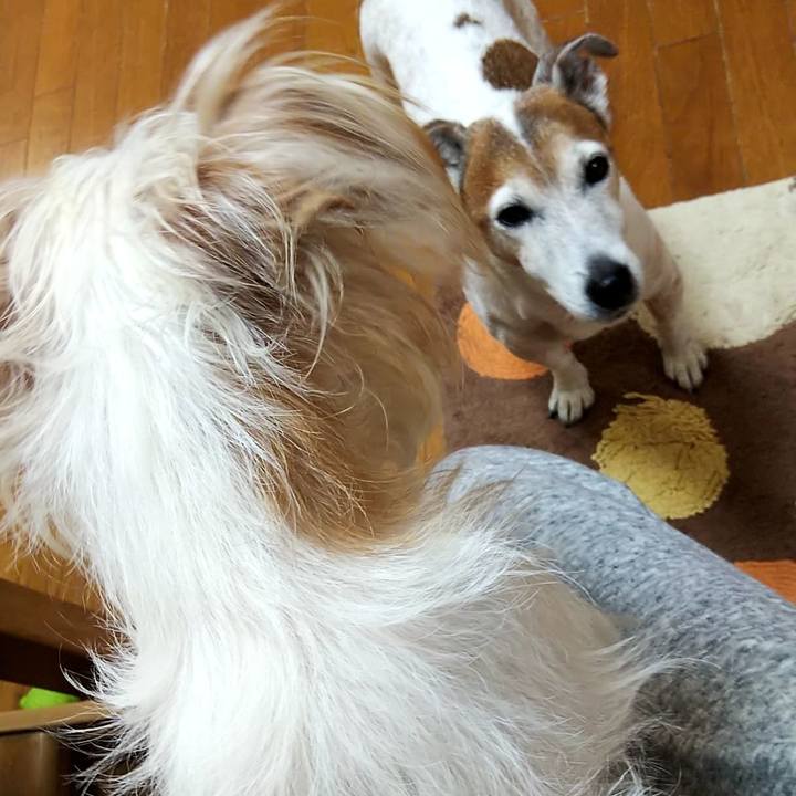 Daedc4d8 9d77 493b b44e e78861d11529 1551219372804