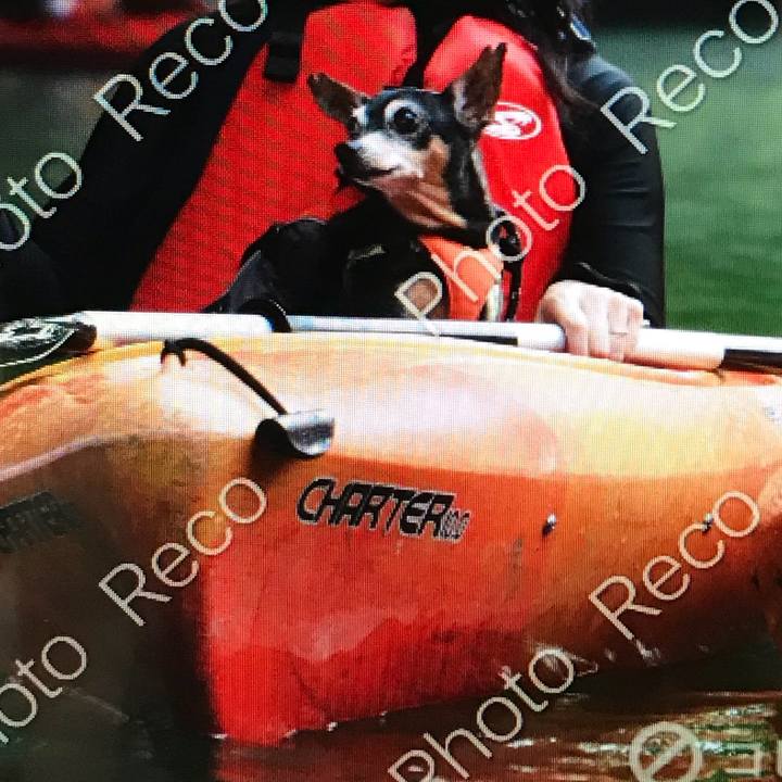 Daedd822 2df4 4344 a75b 2b4a852e4f9e 1565784843291