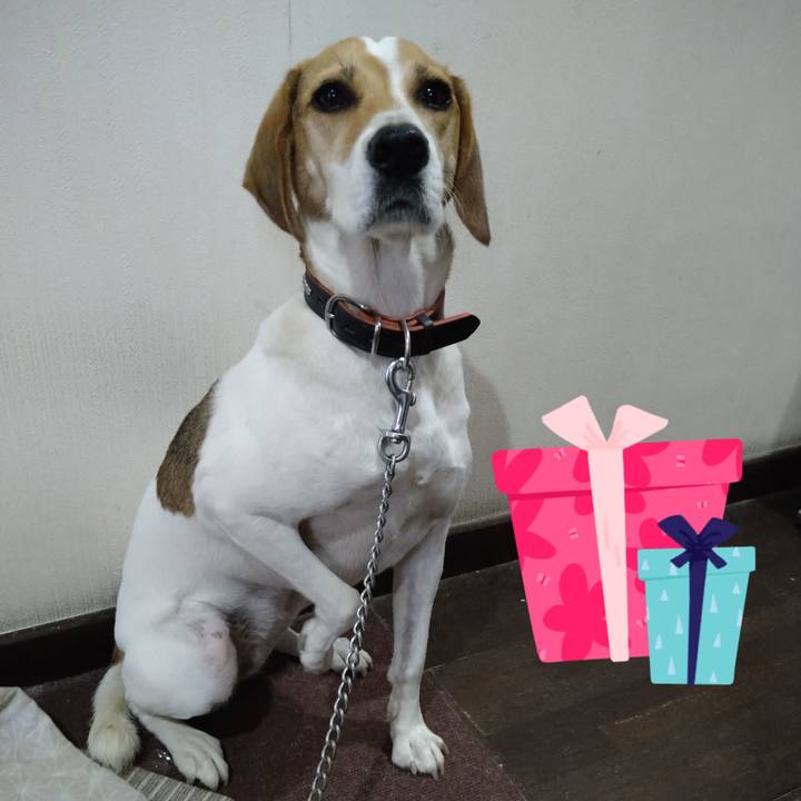 Daedf2f2 dddf 4ff2 b4ea af839fc12073 1634117144247