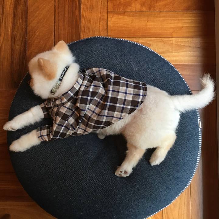 Daee212a a988 4d1f 92bf 5a32cf7fe041 1607847570688