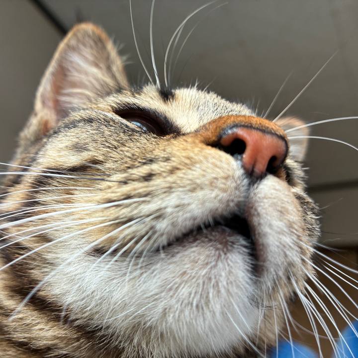 Daee3abe 2e6b 488f 86d1 23c3732d349a 1747443333750