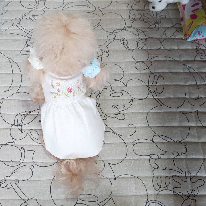 Daee529f 9987 44d4 9893 c694a9a129ac 1568377305226