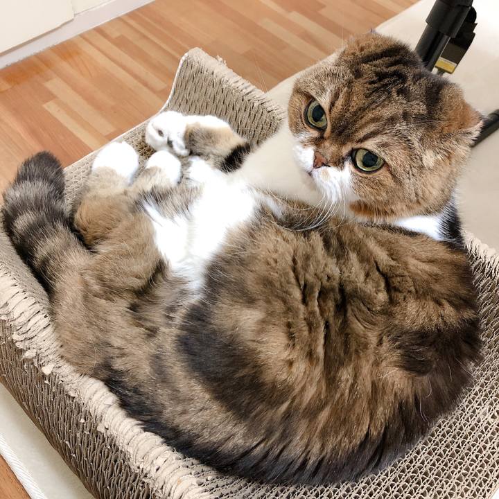 Daee5cc5 2fa8 46cd ae67 5cd85de2ede4 1596882352886