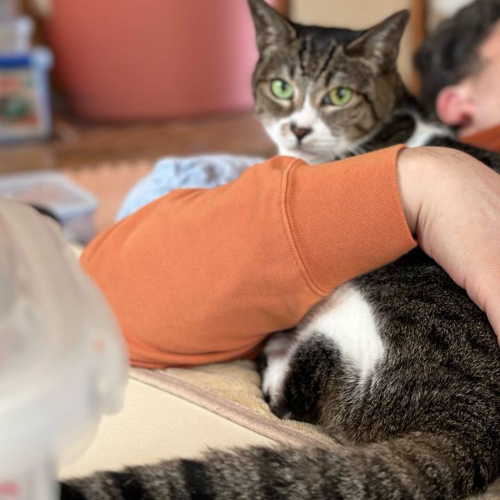 Daee81c5 fad4 4386 a49b 5312670402e8 1667181709166