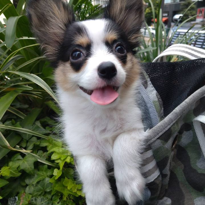 Daeeb2d9 c928 4fe7 bf14 302d64b61f36 1597027684818