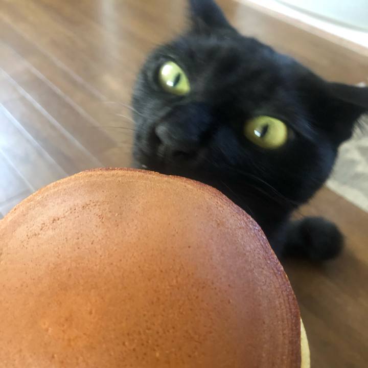 Daeeb961 ab4d 47c7 8bc6 c44b417da9e2 1649494524150