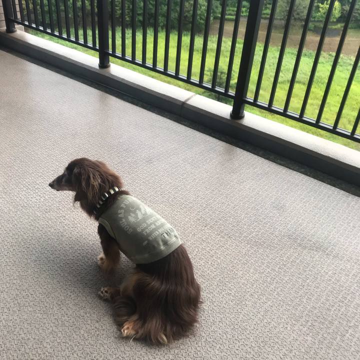 Daeeddef 2309 45f0 b236 450f07b75ac0 1601018807572