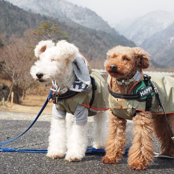 Daeefb22 ae17 4592 b4d8 f08c68572aeb 1550445515584