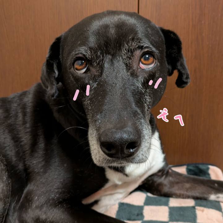 Daeeff02 d6ea 4784 b087 4042024dbf8c 1736609161421