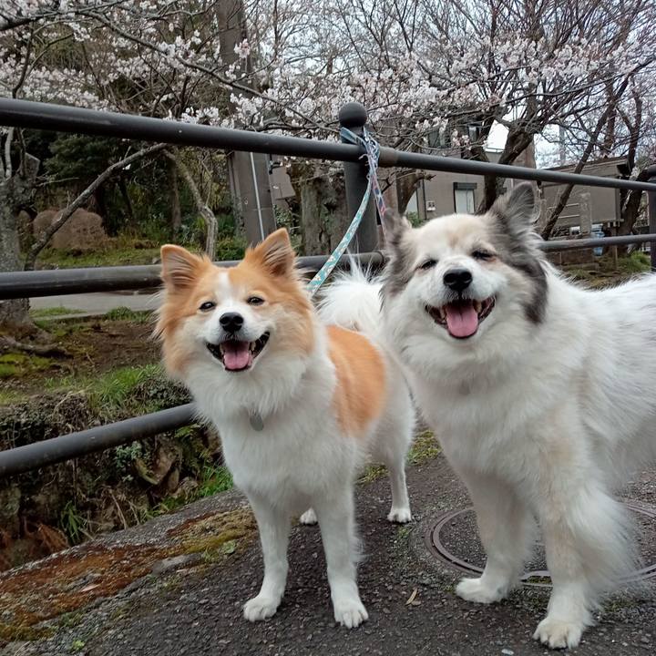 Daef4163 168f 4b6e bbe0 2338a80bb443 1648384234847