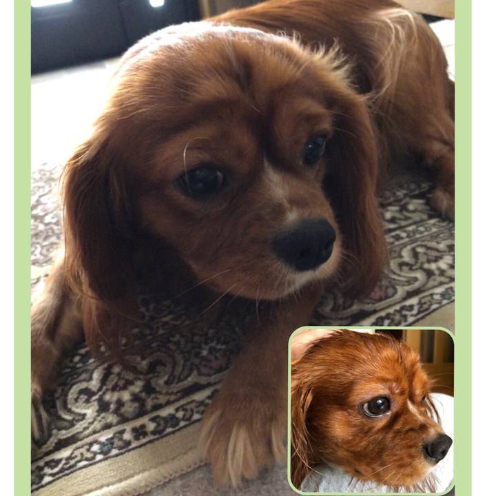 Daefbe81 cc96 4a4a 9d11 c07fe298fceb 1569110970902