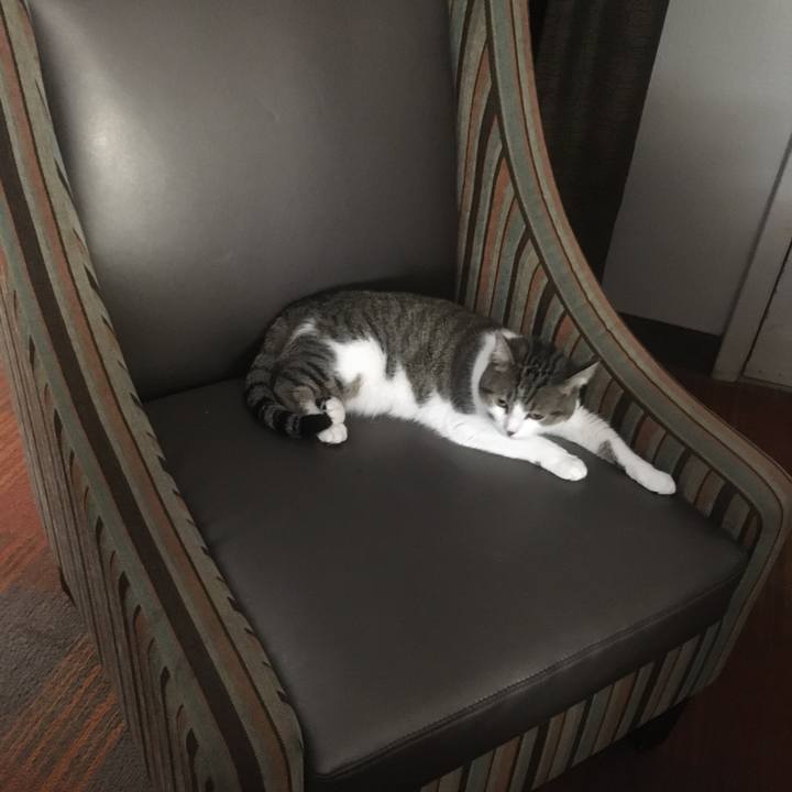 Daefe6fd f596 4a42 9d00 e657e9143035 1633831172278