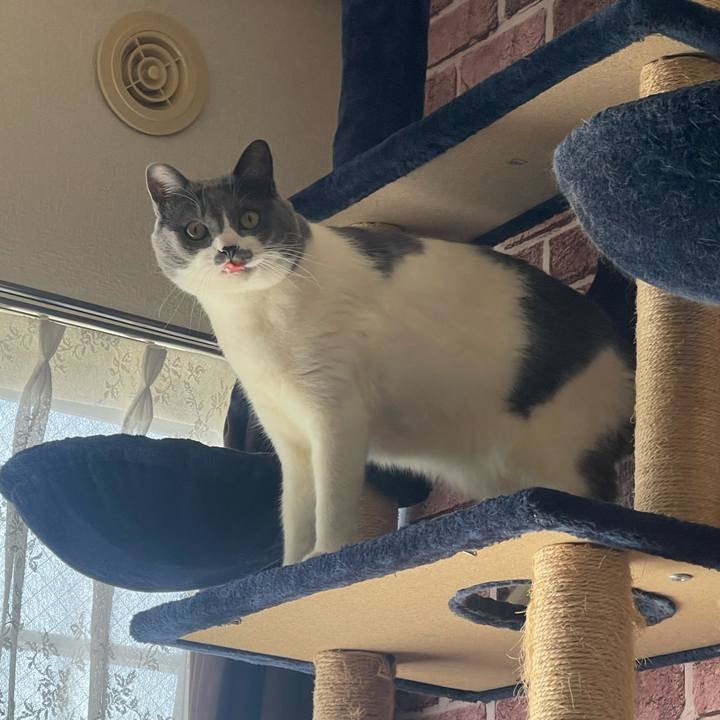 Daf089b0 b846 4560 8973 21004536b90f 1709432772077