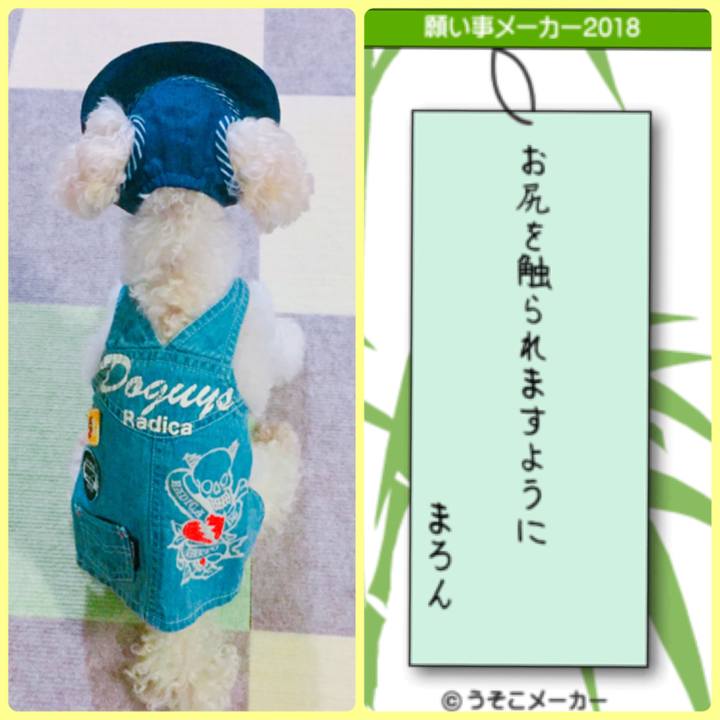 Daf0b479 9895 4a61 a121 ee83984d7219 1530963584427