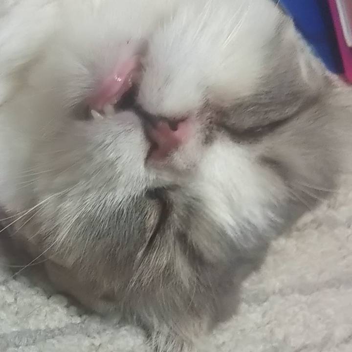 Daf0ec4e fea9 4826 af85 dc356f714007 1629450202642