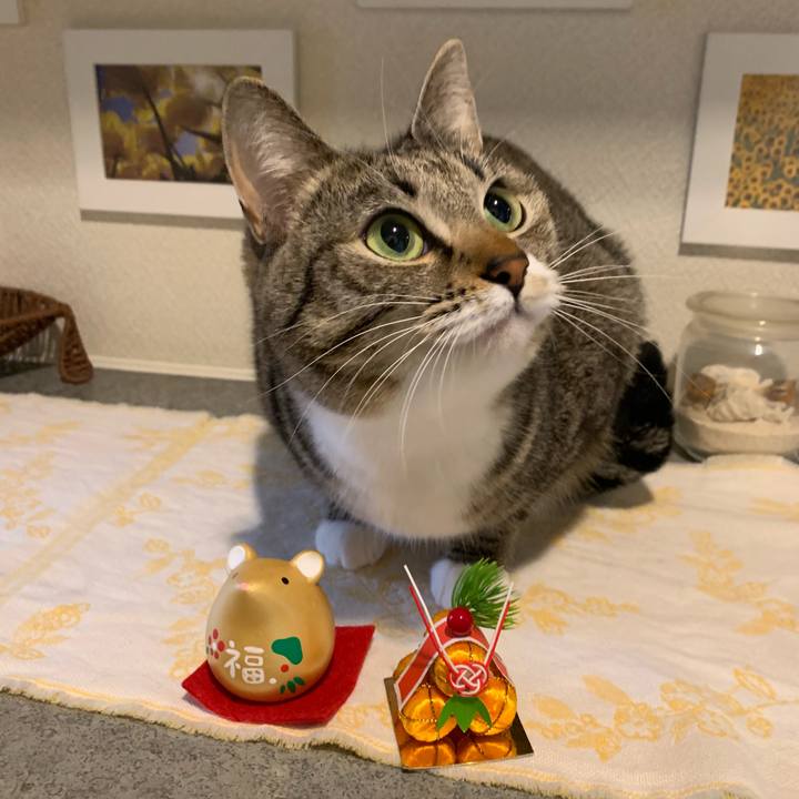 Daf14aa2 53b8 4e32 92d9 faa94f645d4b 1577970766029