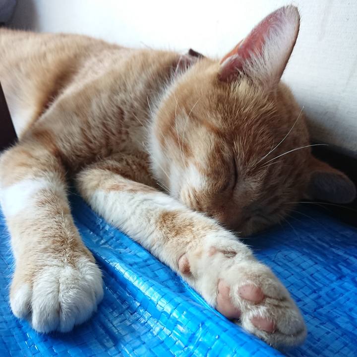 Daf14d6e 5e4f 4618 9ccd f9ebe81b9226 1567833609079