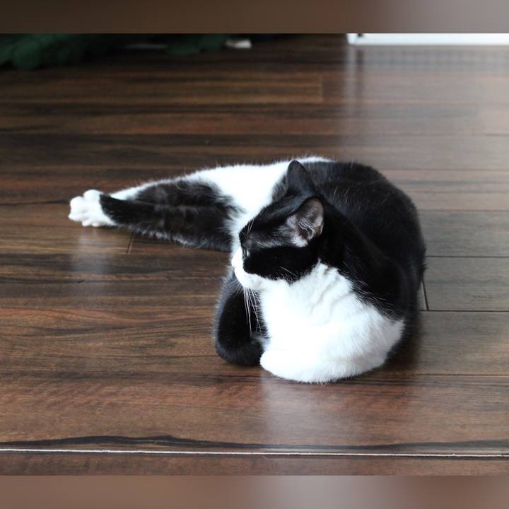 Daf19014 e3c4 4547 8112 74a3c01a0204 1686393315282