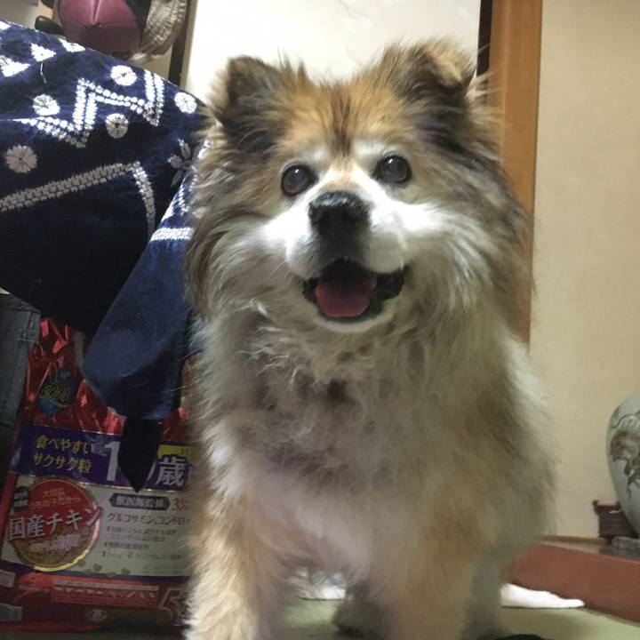 Daf1be65 dc1f 4147 adb4 a37deb69312b 1563560349245