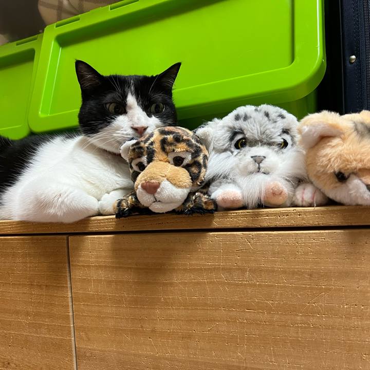 Daf1e5f8 6aaf 48f4 83eb 909918d79100 1690246347154